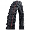 SCHWALBE Reifen MAGIC MARY Evo, Super Gravity, TLE